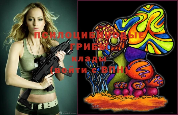 шишки Болхов