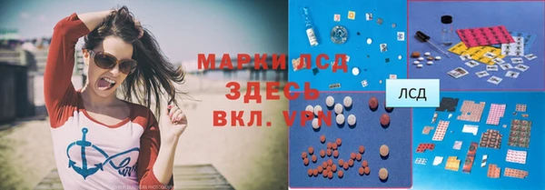 бошки Болотное