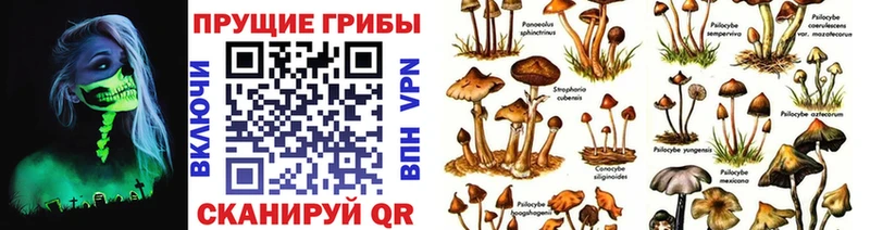 мега как зайти  закладки  Клин  Галлюциногенные грибы Psilocybine cubensis 