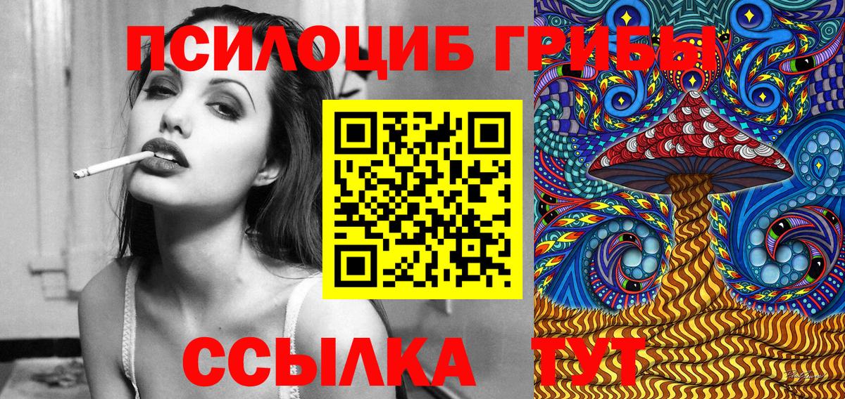 Псилоцибиновые грибы Cubensis Клин