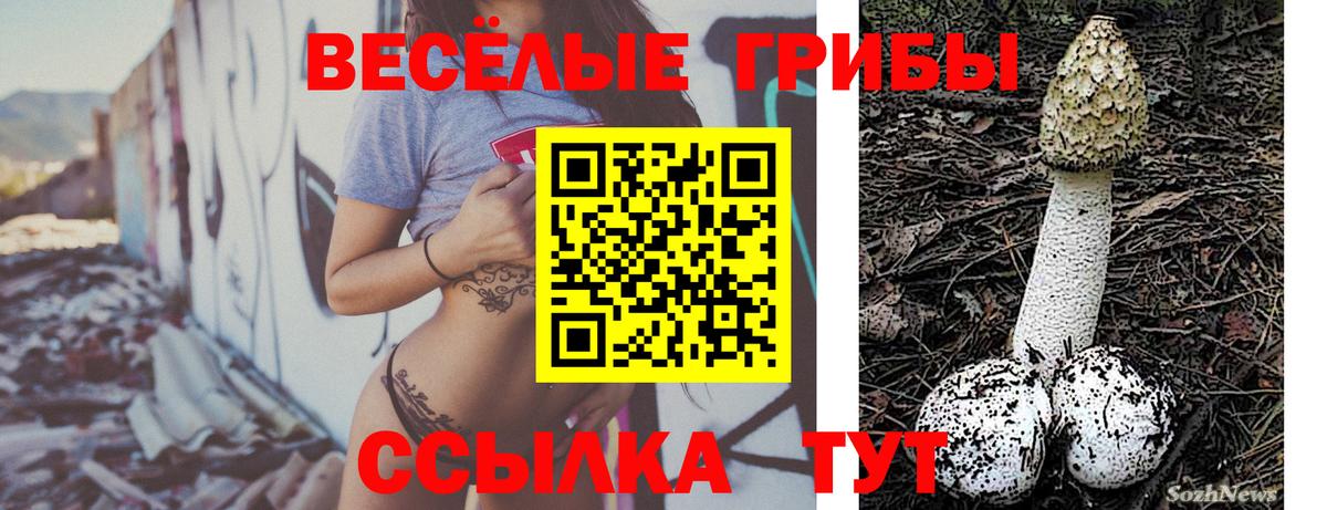 Клин  Галлюциногенные грибы Cubensis  купить закладку  Вход с VPN  Галлюциногенные грибы Psilocybine cubensis 